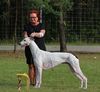 Profile picture of the animal