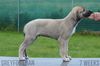 Profile picture of the animal