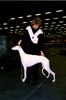 Profile picture of the animal