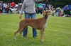 Profile picture of the animal