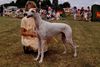 Profile picture of the animal