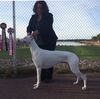 Profile picture of the animal