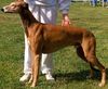 Profile picture of the animal