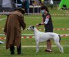 Profile picture of the animal